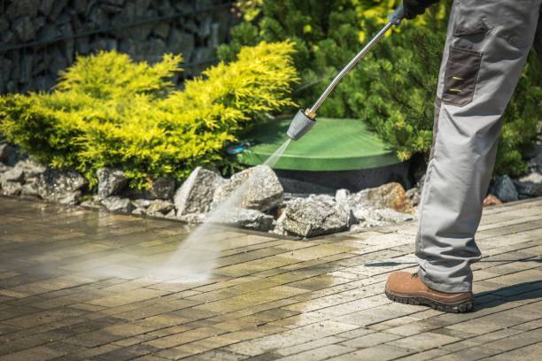 Best Winterizing Services  in Del Rey Oaks, CA