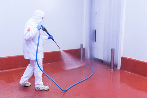 Pre-Holiday Cleaning in Del Rey Oaks, CA